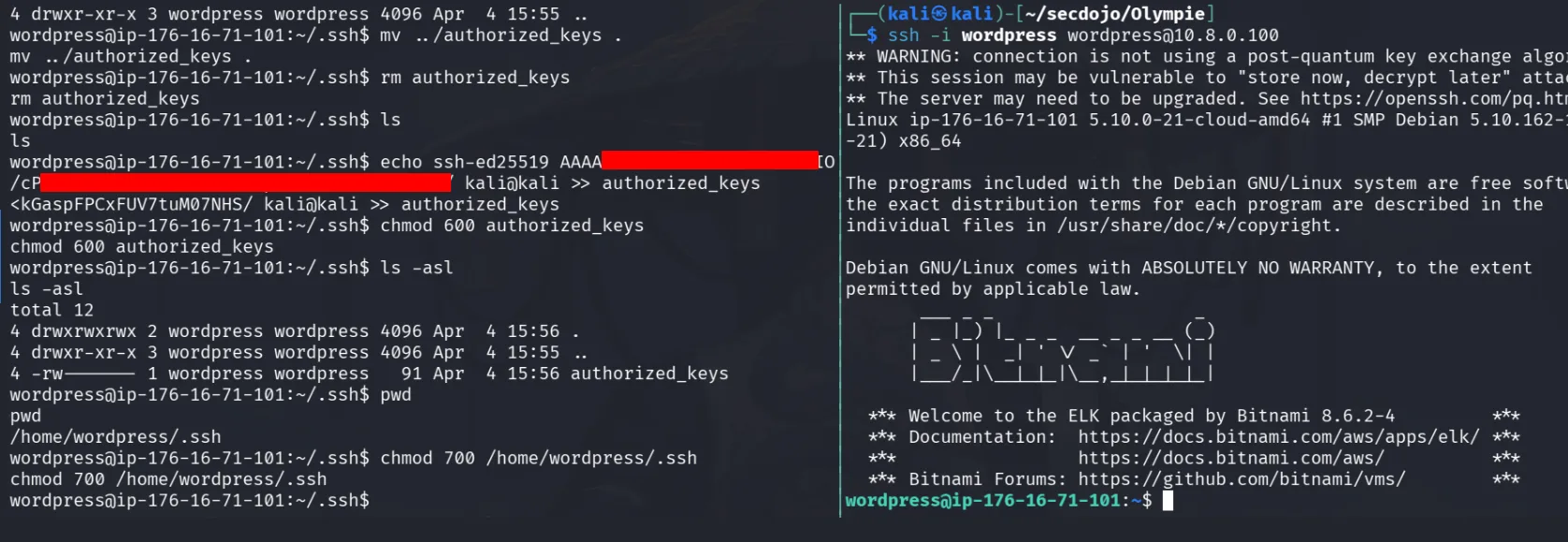 Network Stack